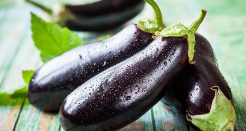 Fun Facts about Berenjena eggplants ©Svetlana Kolpakova via Canva.com